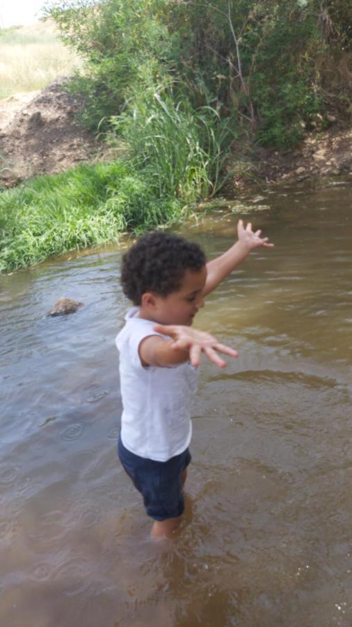 Kfar Tavorבין הר למעייןアパートメント エクステリア 写真