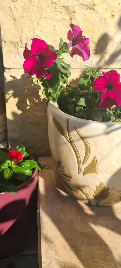 Kfar Tavorבין הר למעייןアパートメント エクステリア 写真